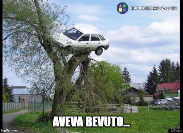 meme 3